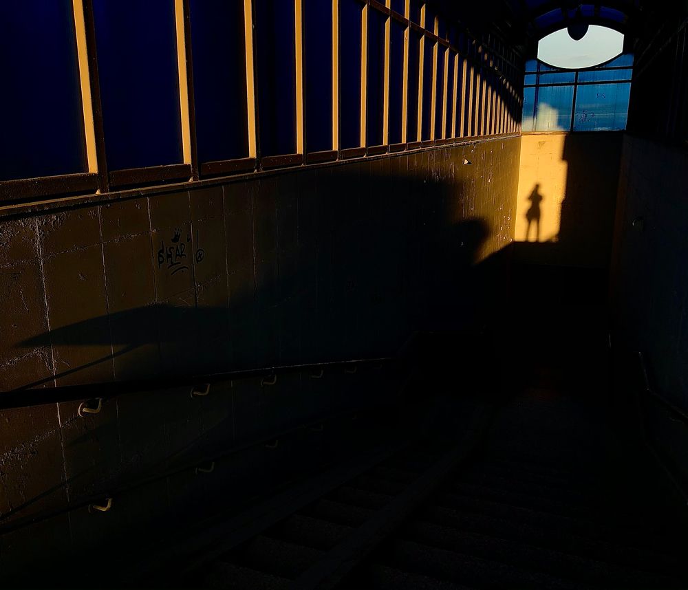 Photograph by Мария Усманова