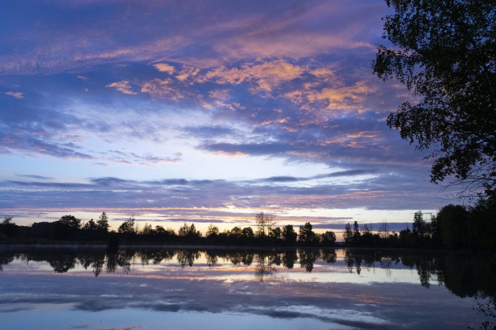 Фотография автора Ирина Зайцева