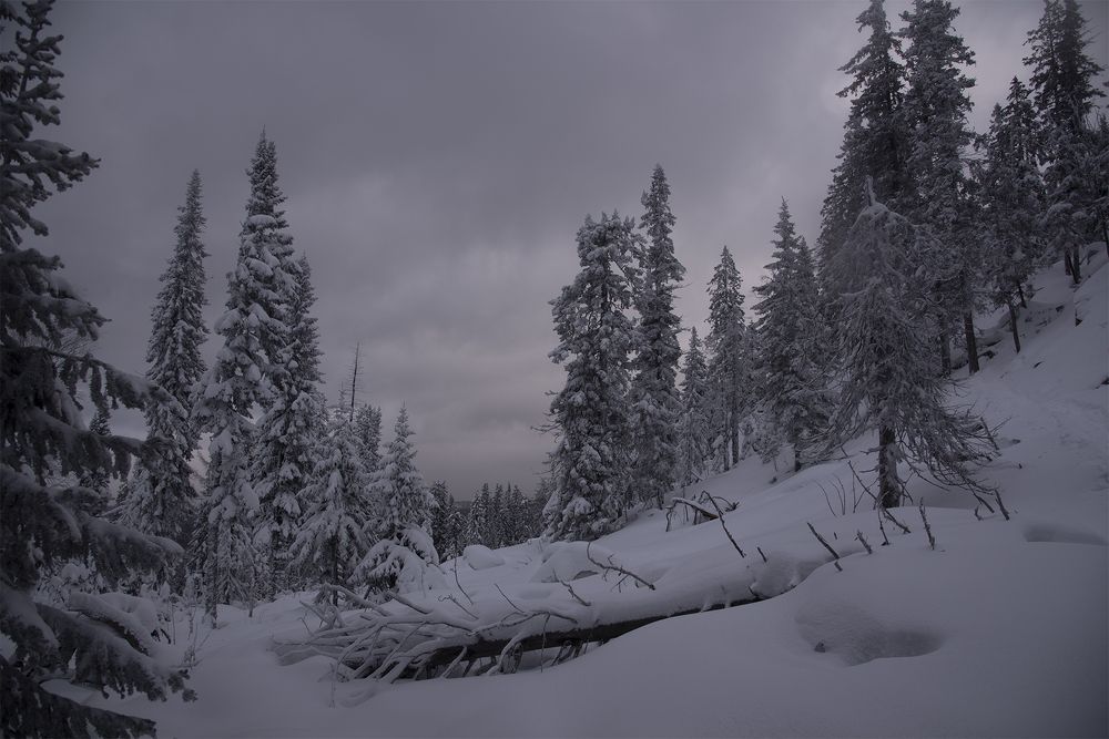 Photograph by Сергей Шварцман