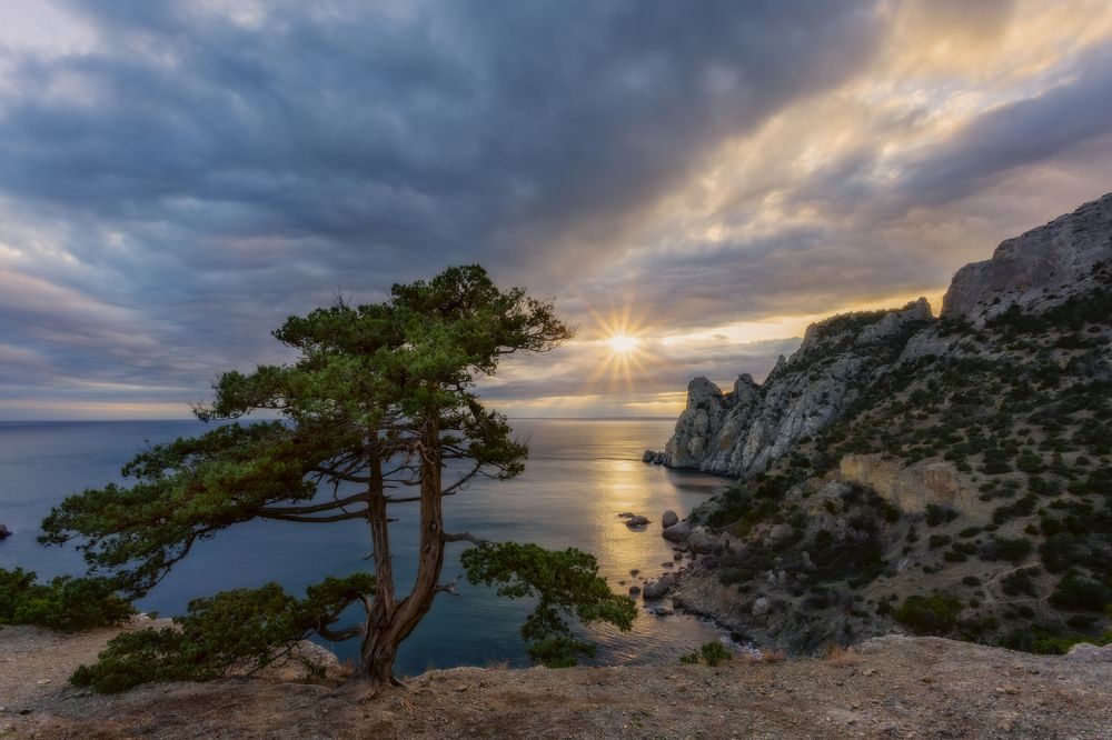 Photograph by Юлия Шумляева