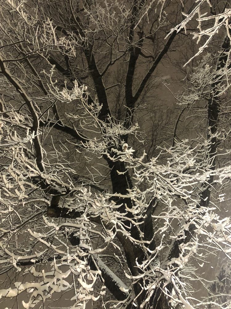 Photograph by Лариса Куторжевская