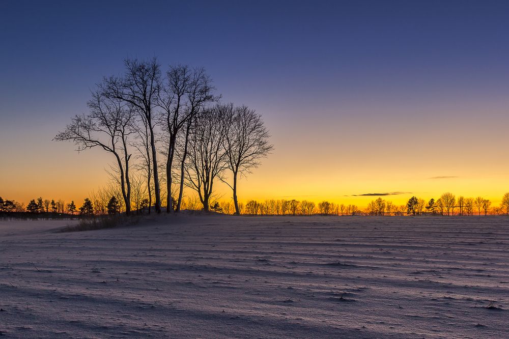 Photograph by Dallig Marcin