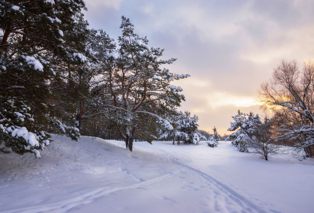 Фотография автора Валерий Лушин