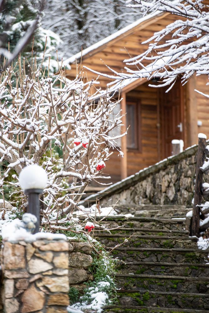 Photograph by Андрей Перец