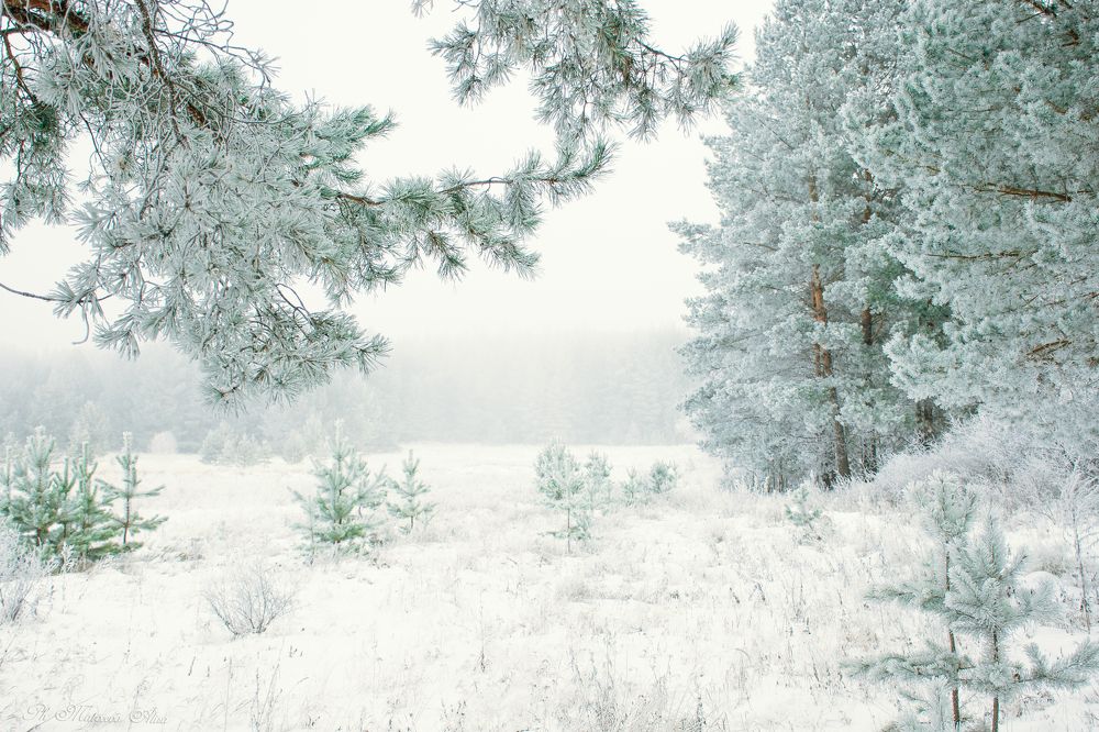 Photograph by Alisa Matveeva