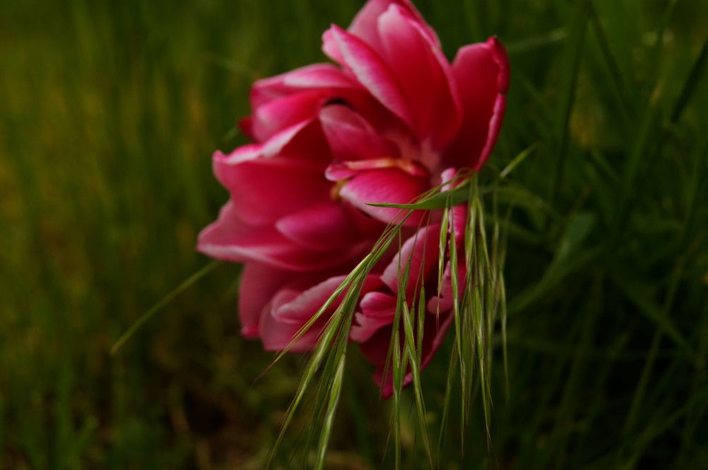 Photograph by Ольга Новикова