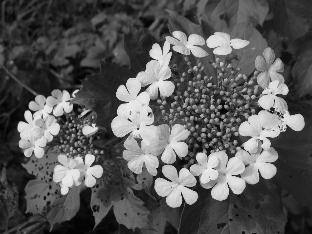 Photograph by Николай Худяков