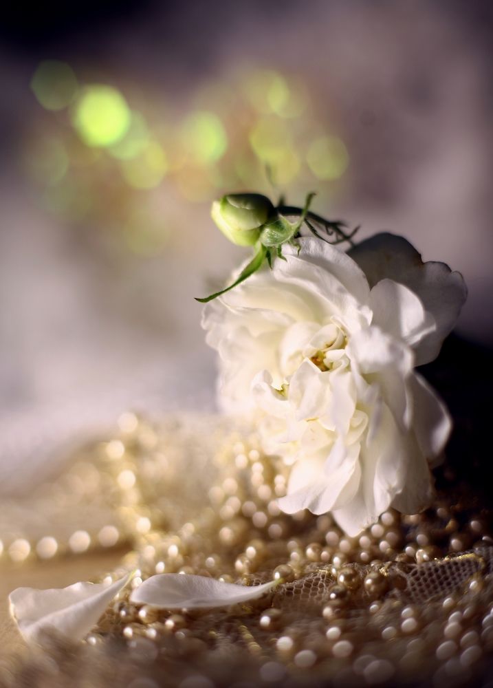 Photograph by Milla Luca