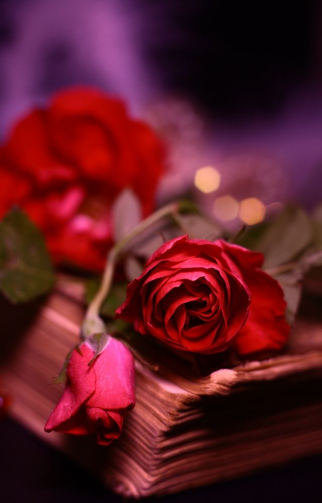 Photograph by Milla Luca