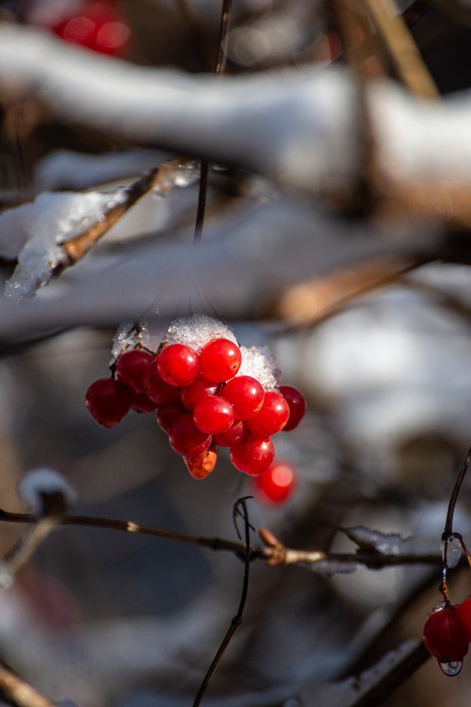 Photograph by Андрей Перец