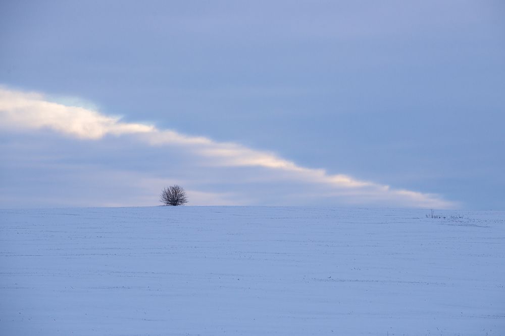 Photograph by Владислав Никишин