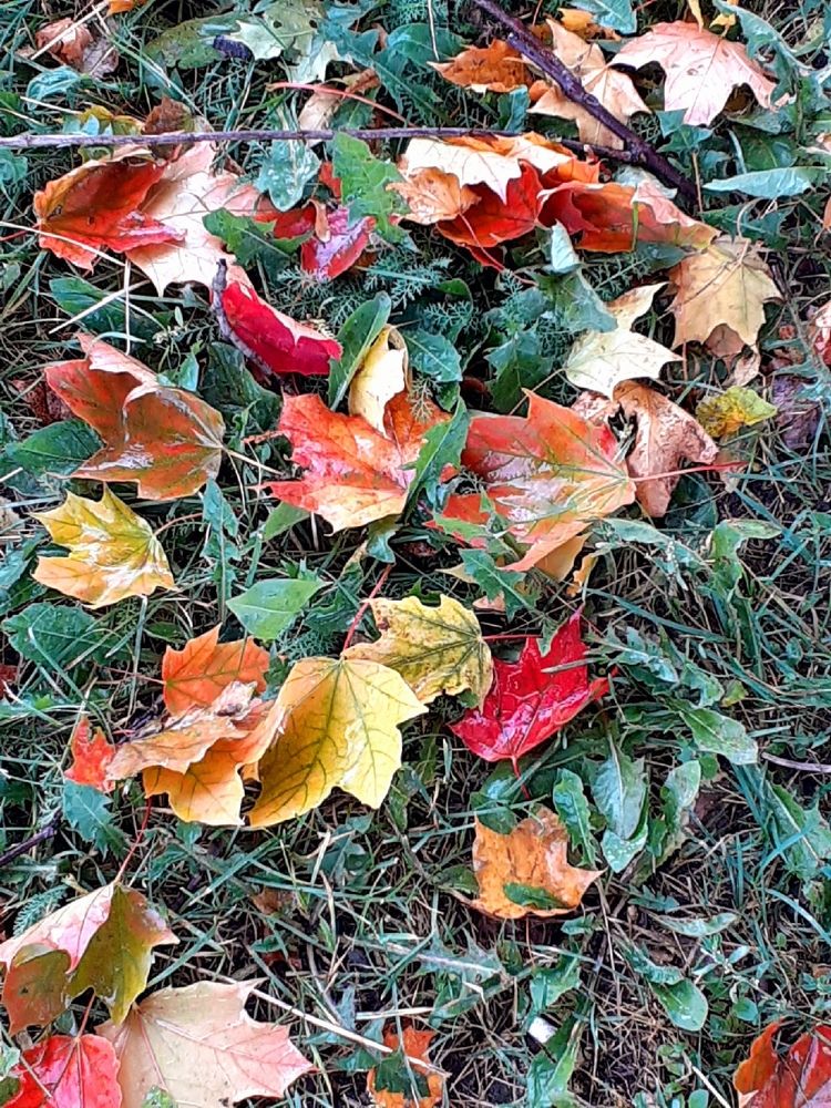 Photograph by Евгения Ульянова