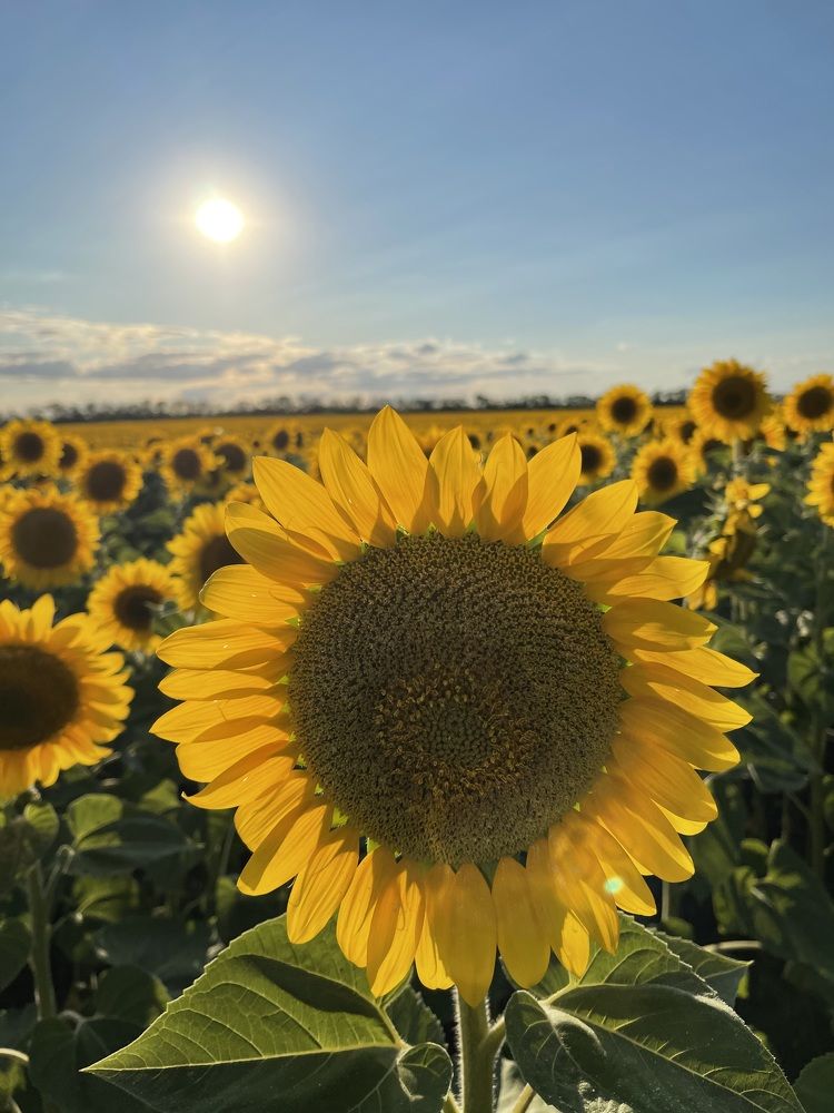 Photograph by Азат Семыкин