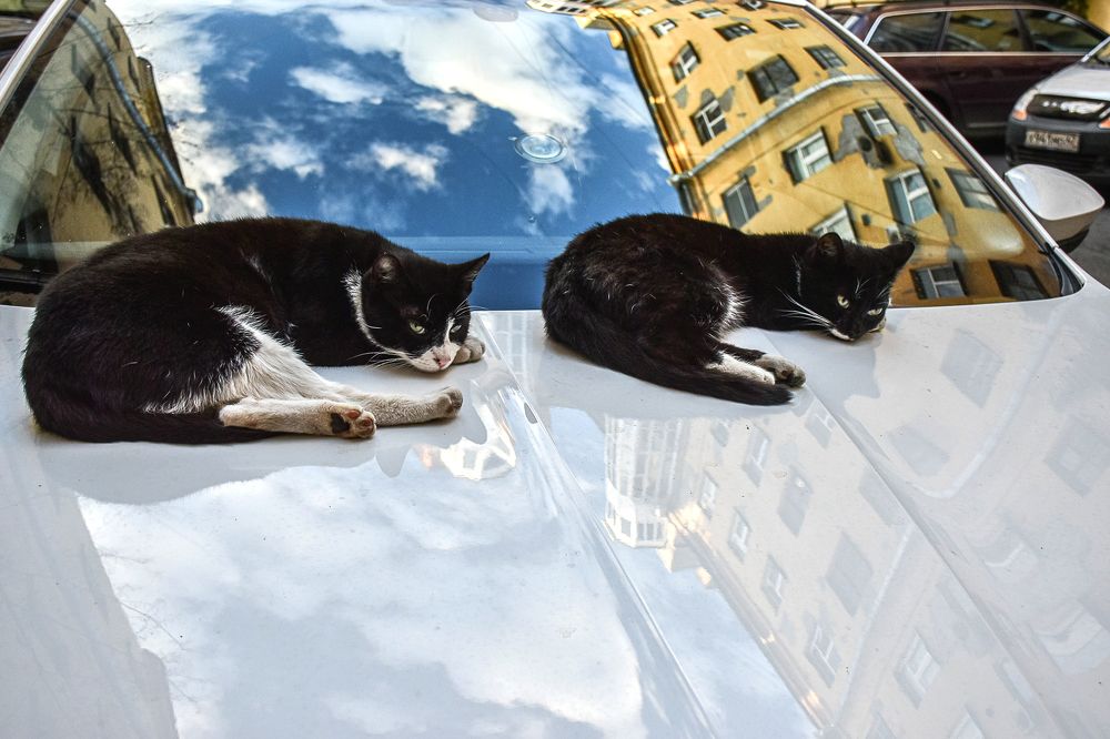 Фотография автора Татьяна Чугунова