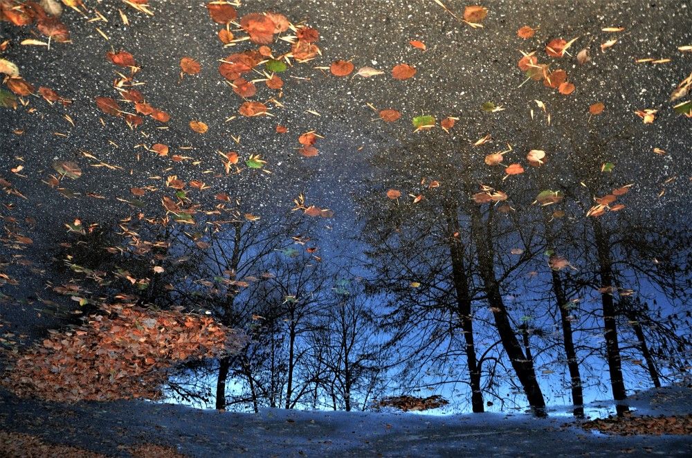 Photograph by Наталья