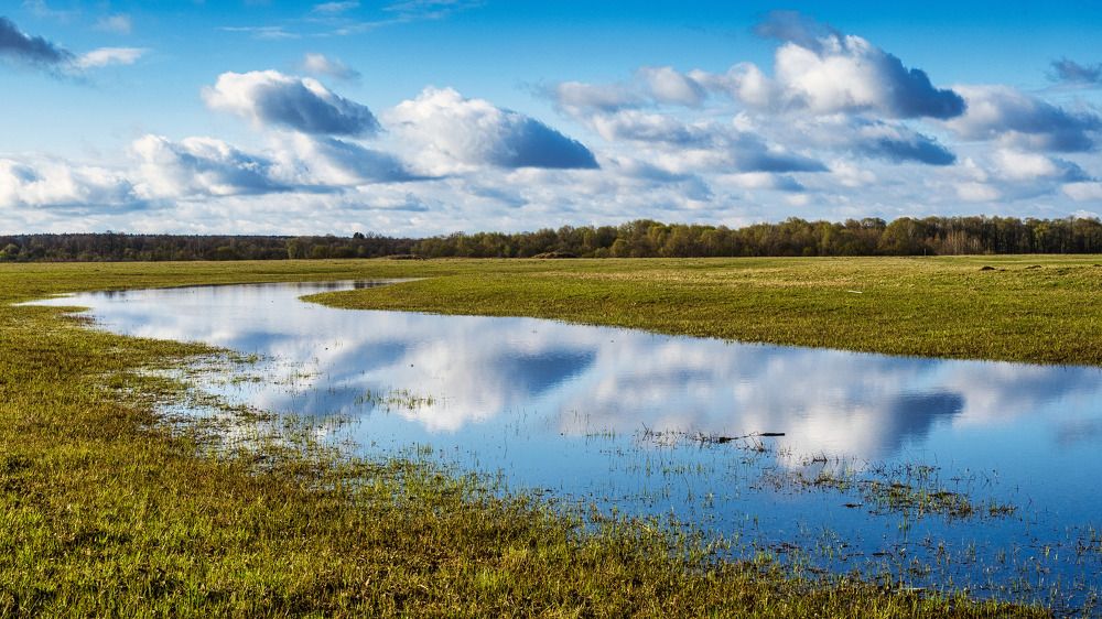 Photograph by Дмитрий Дигилин