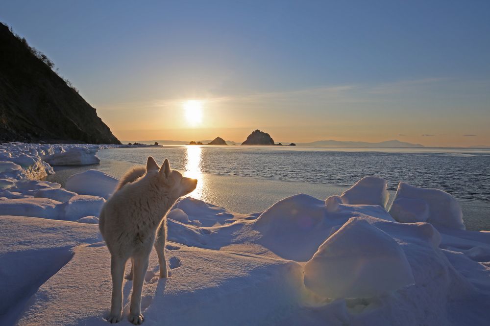 Восхитительный восход во льдах