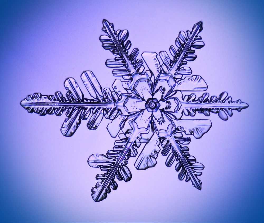 Прошлогодний снег