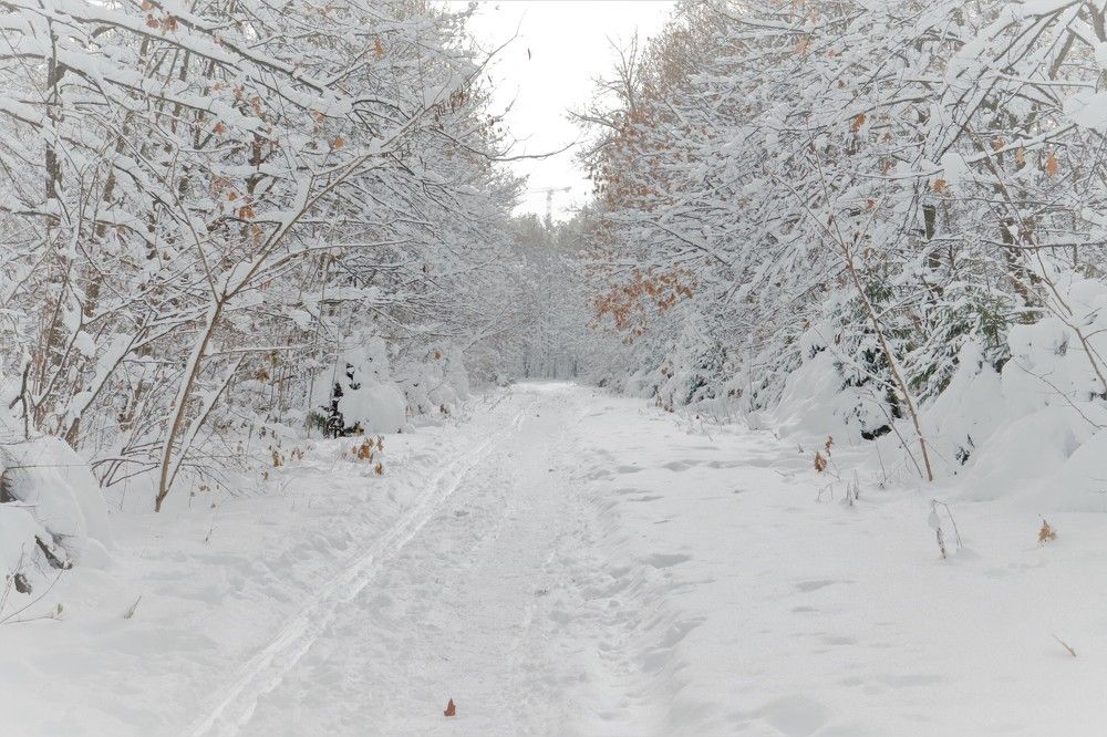 Photograph by Родосская Нонна