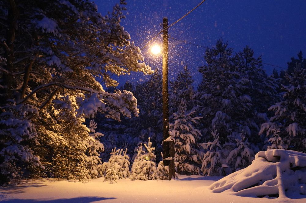 Фотография автора Татьяна Свистулина