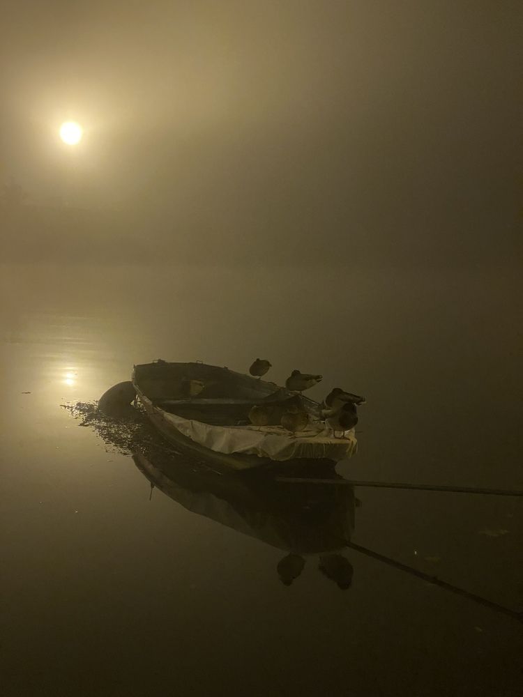 Photograph by Анастасия Куэлляр