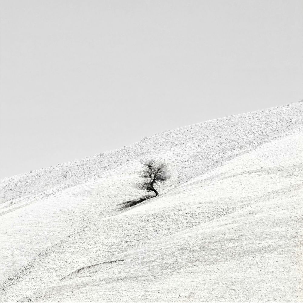 Photograph by Темур Талипов