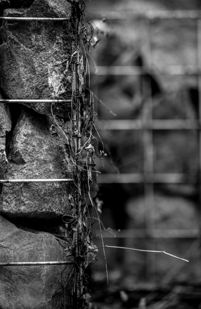 Photograph by Андрей Перец