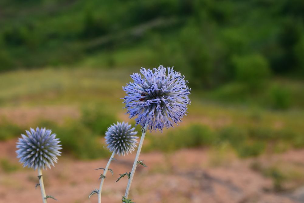 Photograph by Азат Семыкин