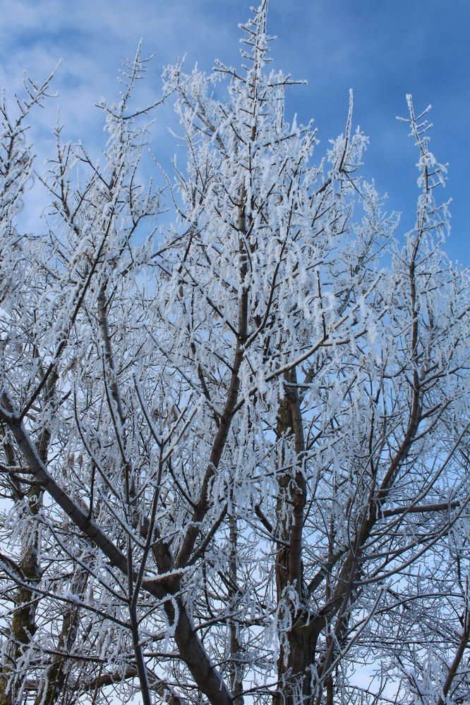 Photograph by Александра Сасина