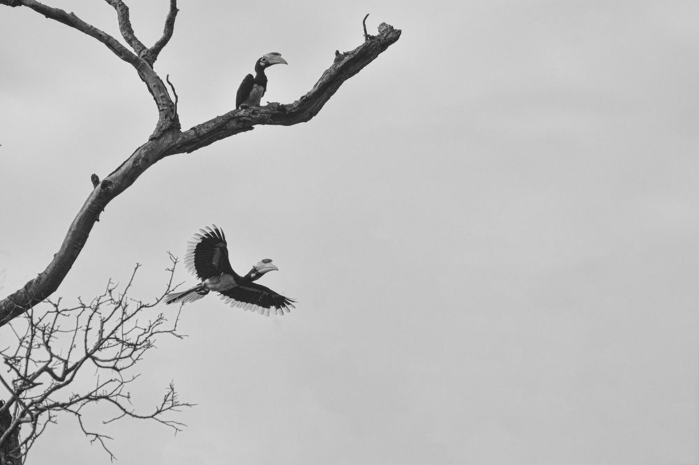 Photograph by Janitha Situbandara