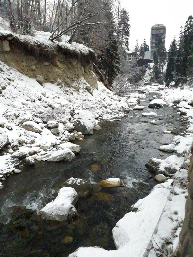 Photograph by Александра Сасина