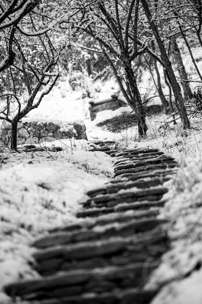 Photograph by Андрей Перец