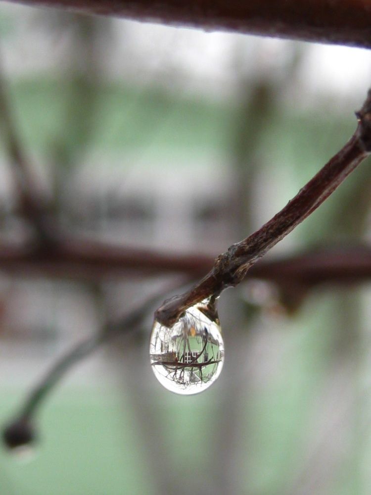 Отражение мира в капле воды.