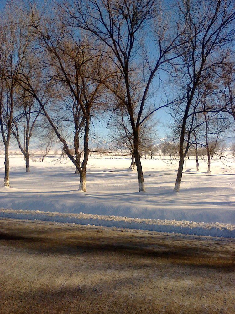 Photograph by Иргашева Николь