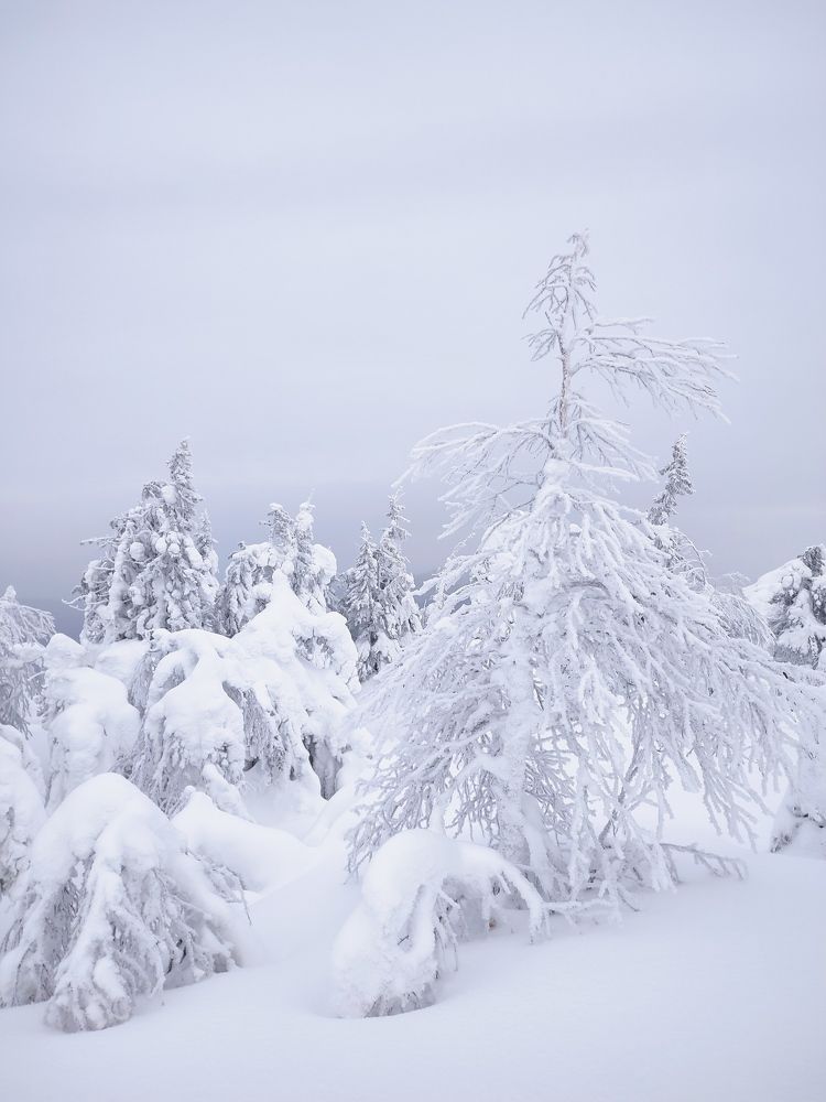 Photograph by Юлия Гинтер