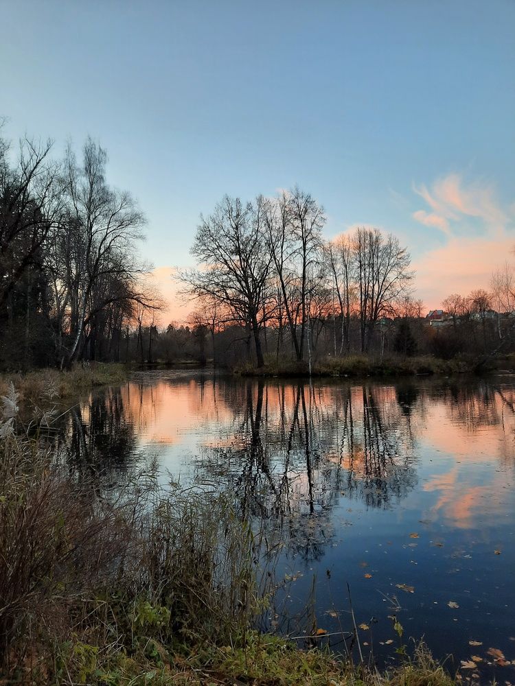 Photograph by Галина Шипухина