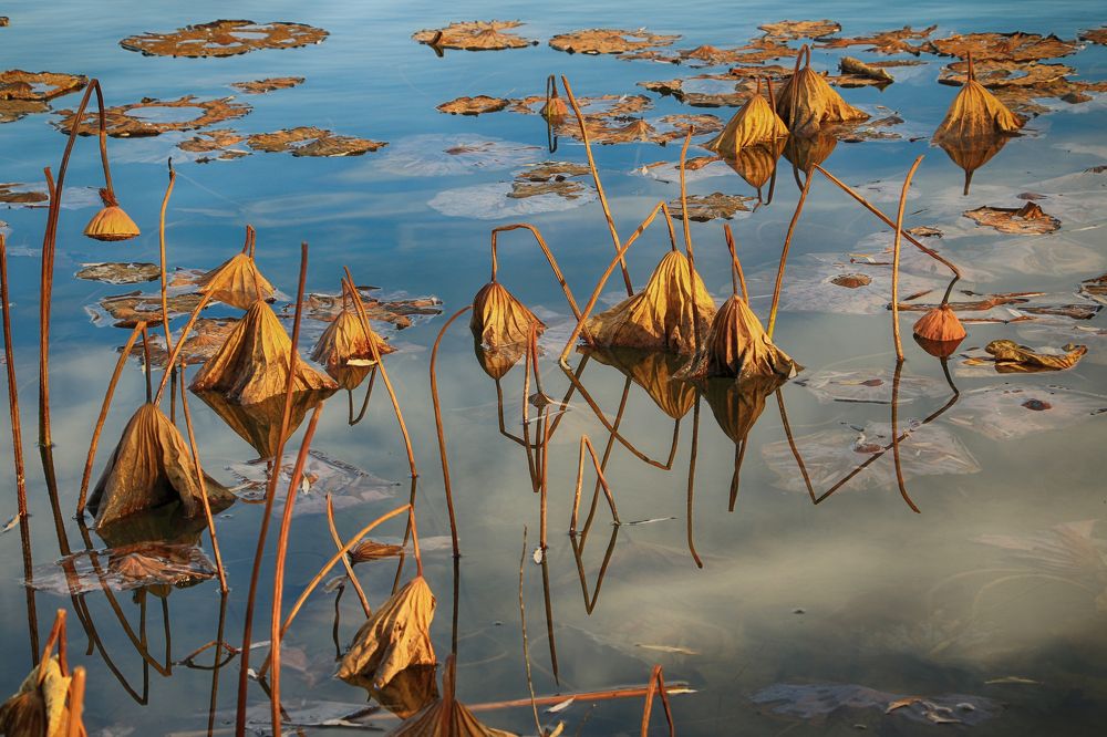 Photograph by Ivanka Iantcheva