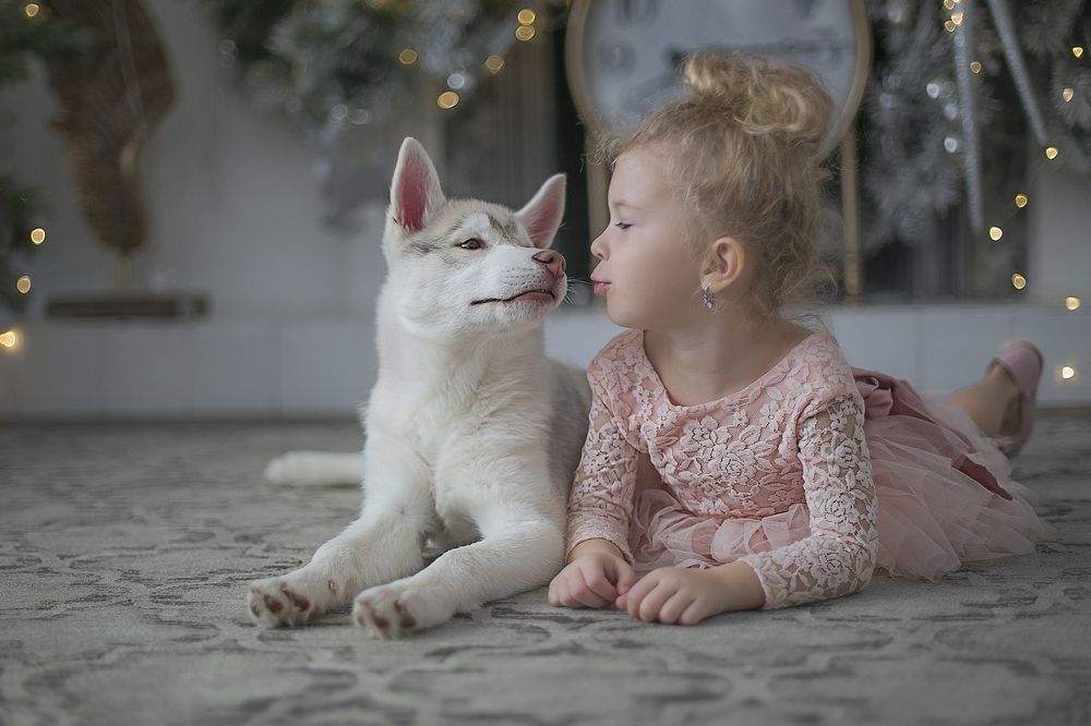 Photograph by Ольга Кривенцова