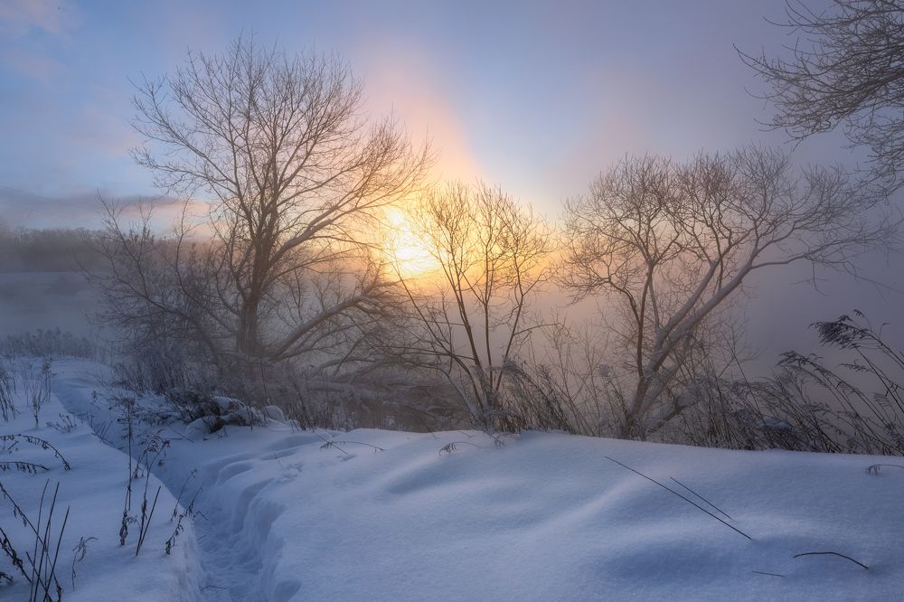 Photograph by Павел Трефилов