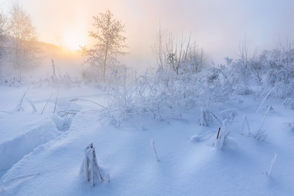 Photograph by Павел Трефилов