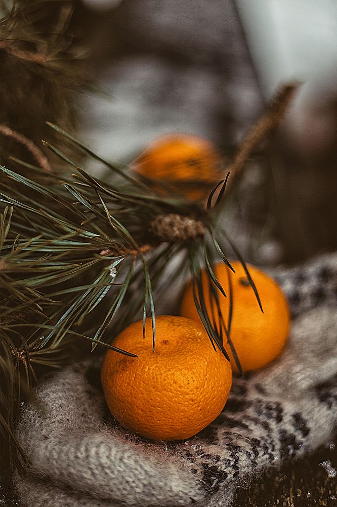 Photograph by Алена