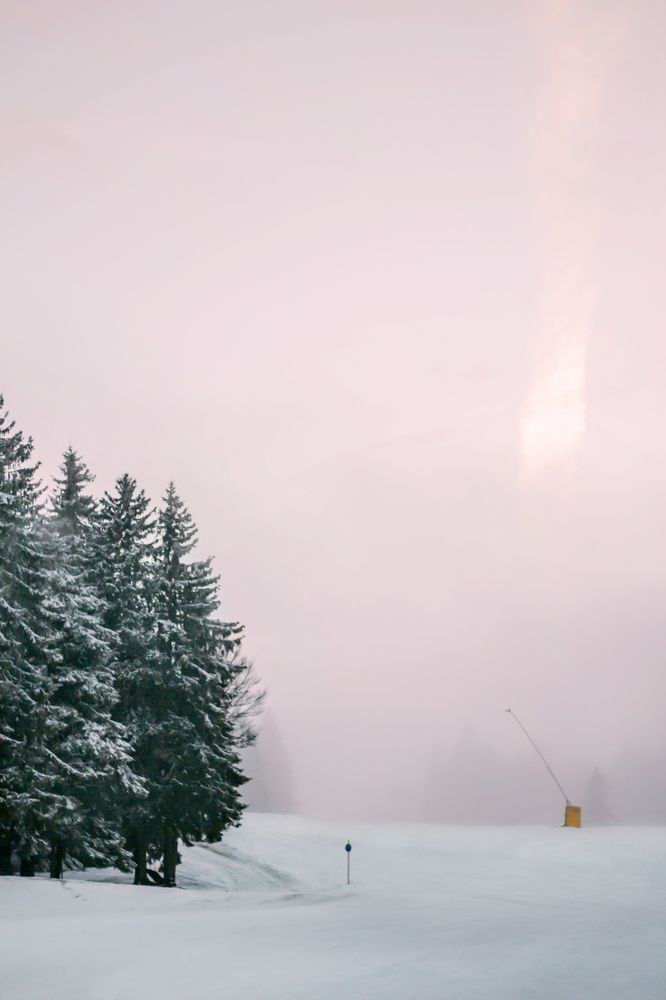 Photograph by Maria de los Angeles Osorio