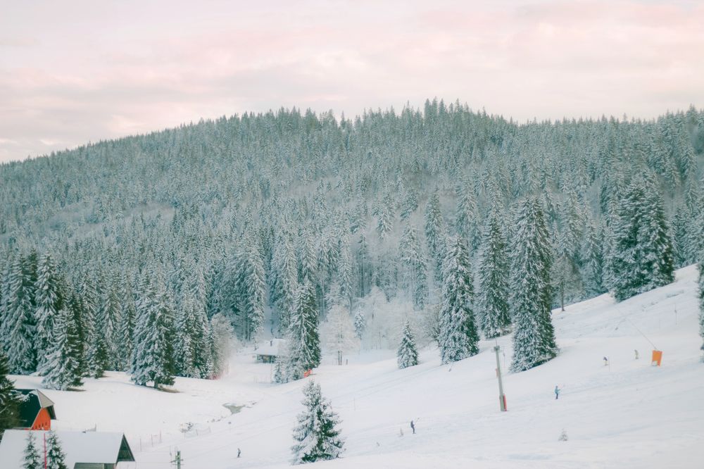 Photograph by Maria de los Angeles Osorio