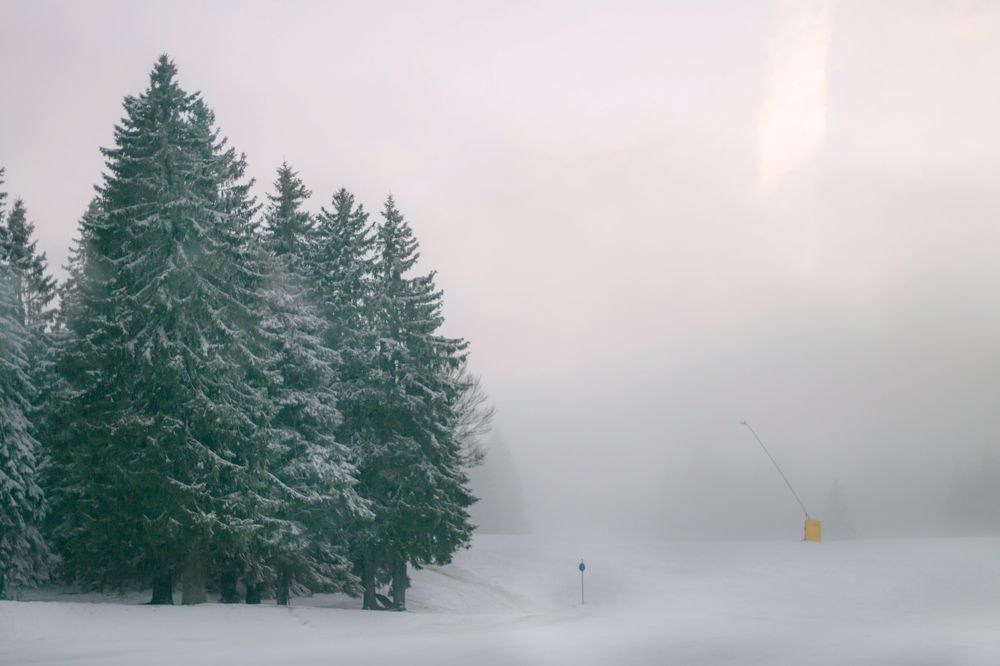 Photograph by Maria de los Angeles Osorio