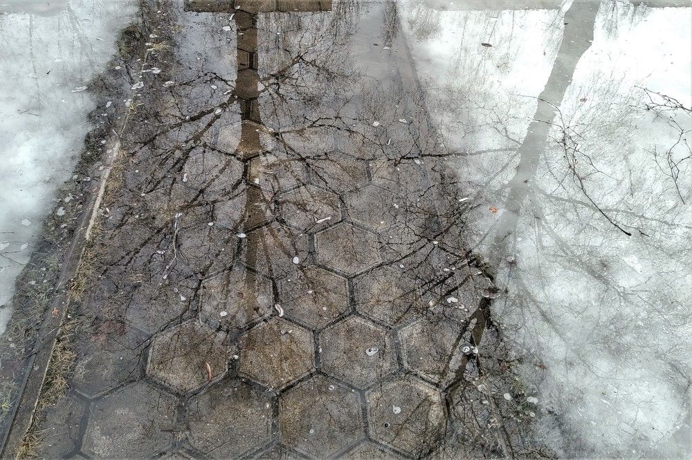 Photo #7046382