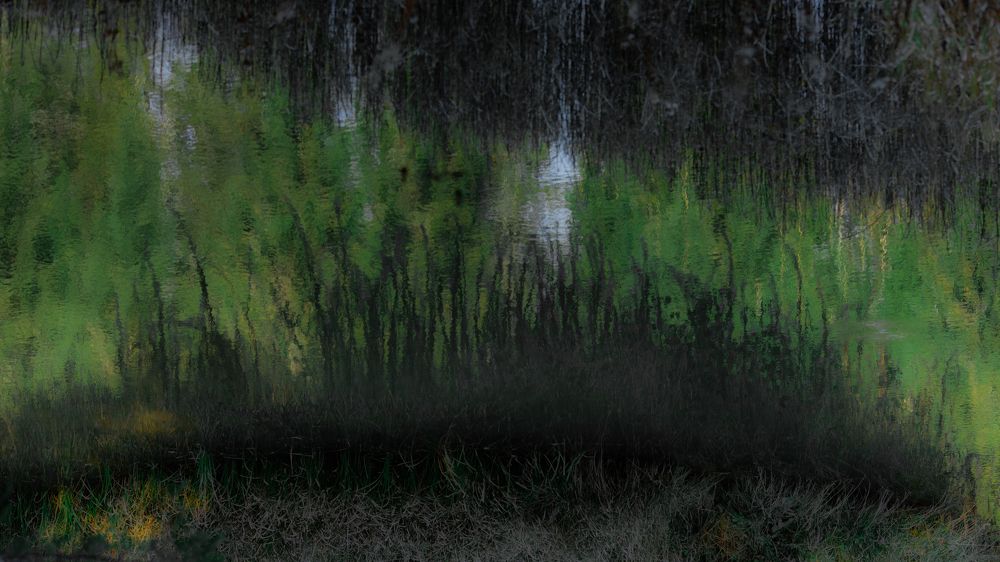 Photograph by Белобородов Александр