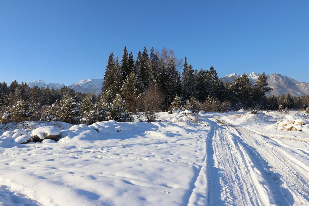 Фотография автора Татьяна Свистулина