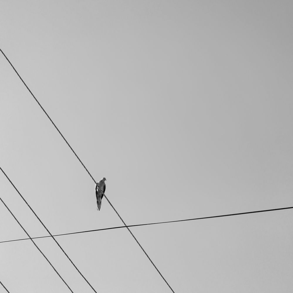 Photograph by Темур Талипов