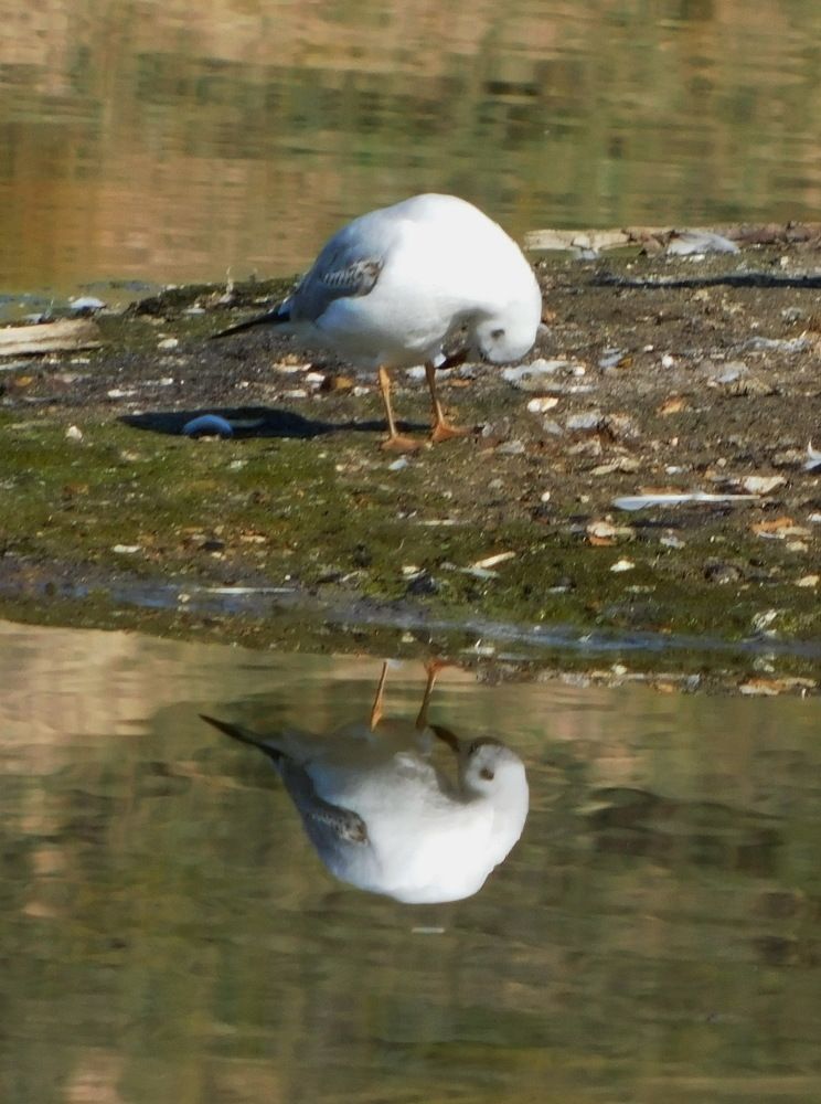 Photograph by Сергей Чеченов