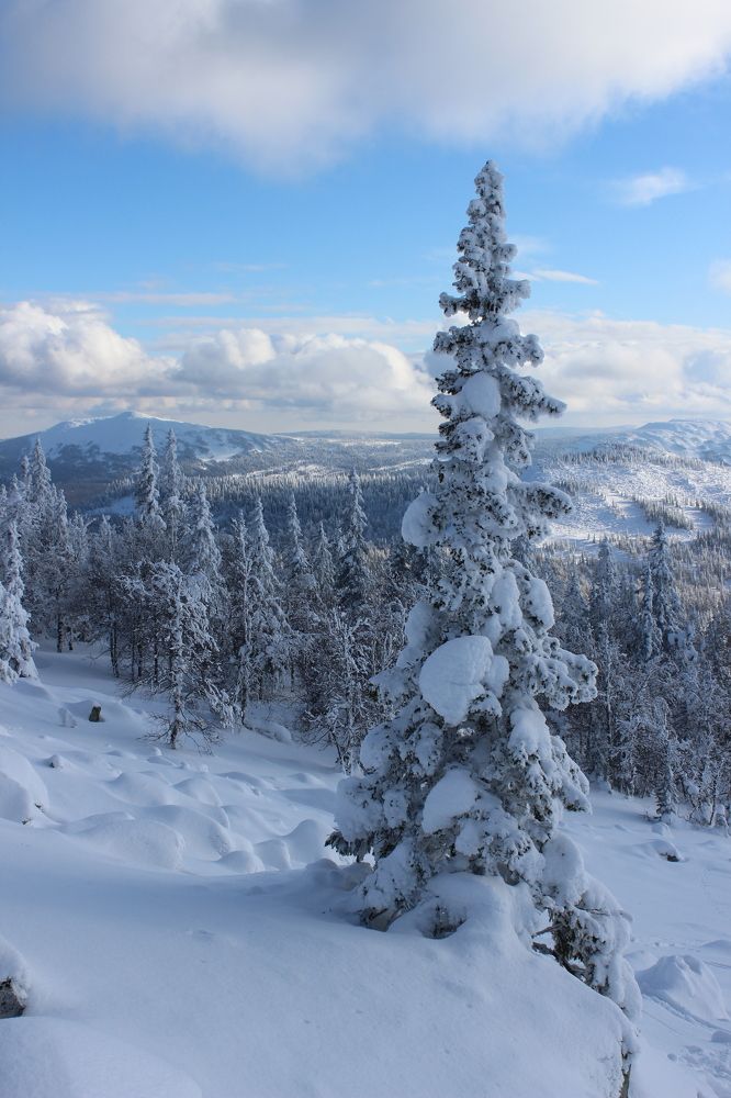 Photograph by Марина Смирнова